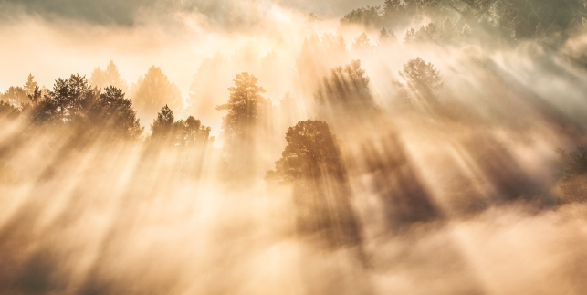 Bobrand 博蓝设计：专业 VI 设计，打造品牌专属视觉识别体系