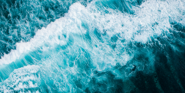 Bobrand 博蓝设计：品牌设计全案，赋能企业从 0 到 1 构建核心竞争力